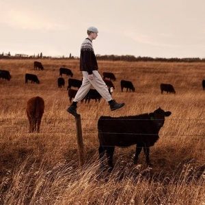 Meet your Posher, Phil-up